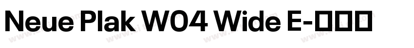 Neue Plak W04 Wide E字体转换